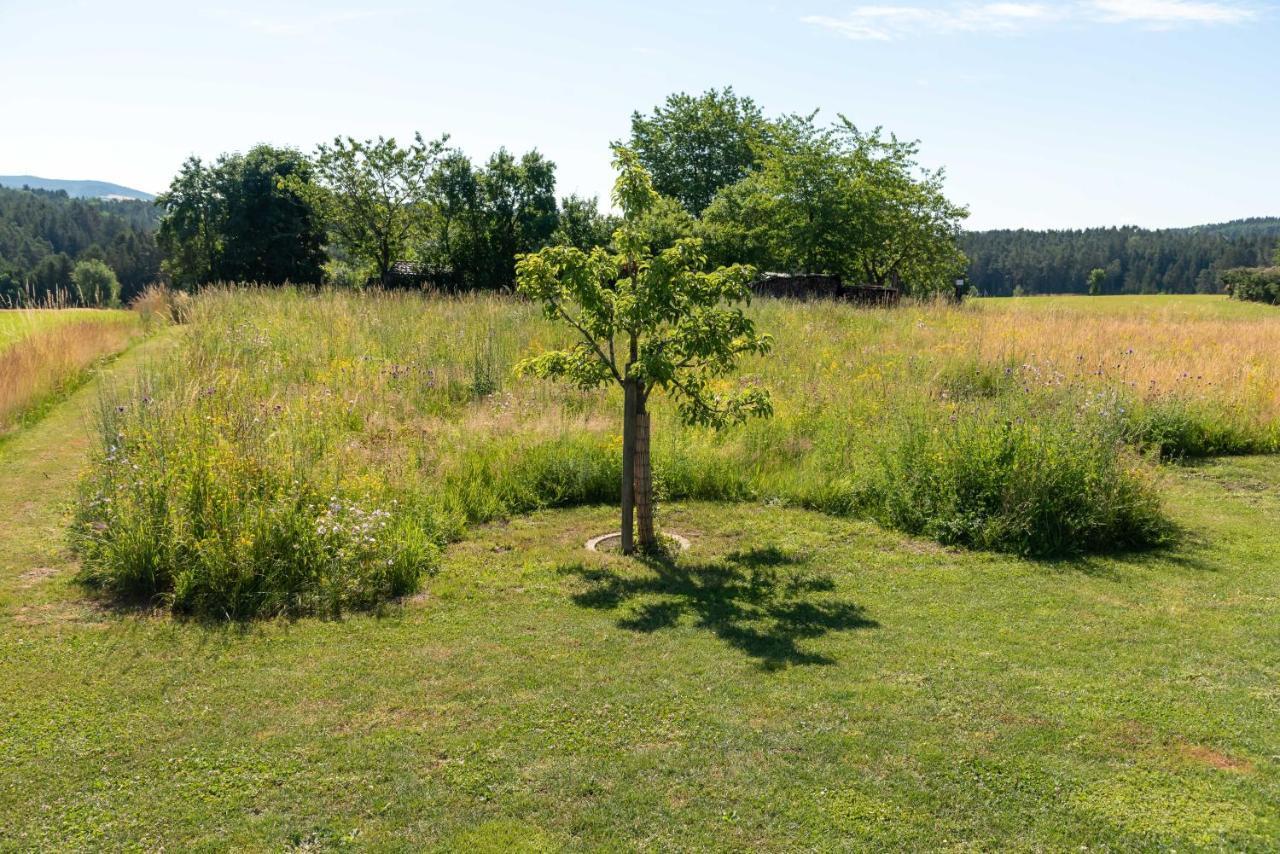 Moderne, gemütliche DG-Wohnung in ruhiger Lage Neunburg vorm Wald Exterior foto